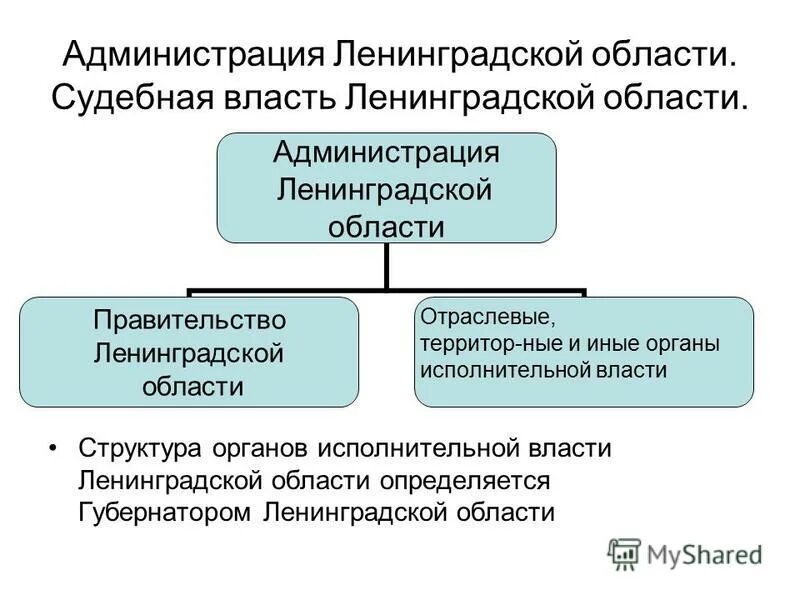 Органы государственной власти курсовая