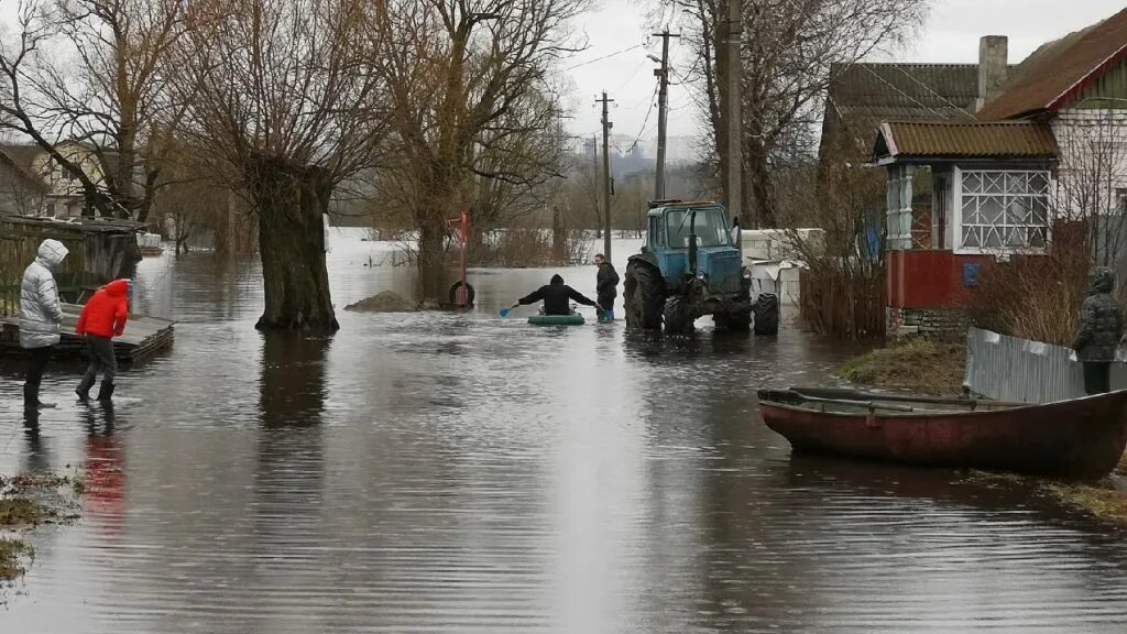 Паводок брянск