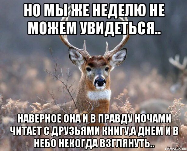 Увидеться с теми кто. Я скучаю цитаты. Дружите с теми кто лучше вас. Встретимся картинки. Увидеться с теми кто.