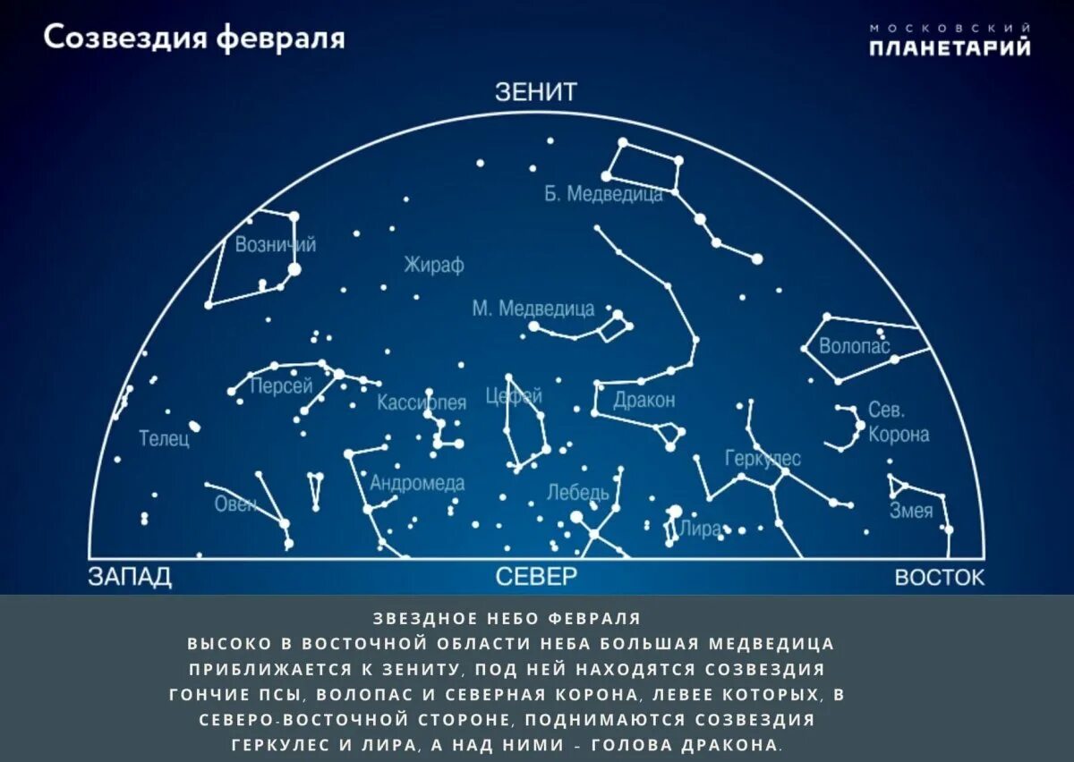 Февраль созвездие. Созвездия на небе. Звездное небо созвездия. Карта звездного неба. Карта созвездий звездного неба.