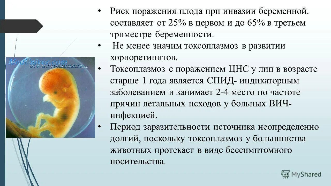 Чем опасен 1 триместр. Токсоплазмоз при беременности. Токсоплазмоз в 3 триместре. Токсоплазмоз при беременности симптомы.