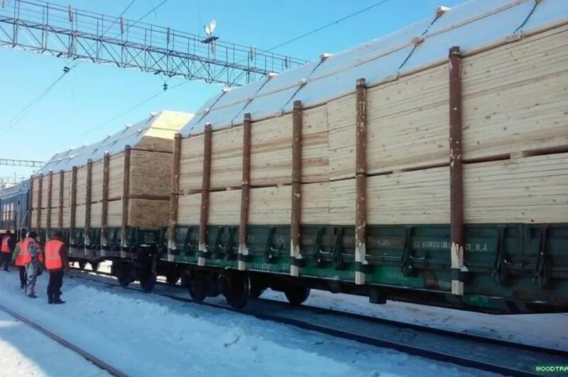 вагона сосна. вагон грузовой железнодорожный. баланс хвойный. вагона сосна. бревно вагон ржд пиломатериалы полувагон.