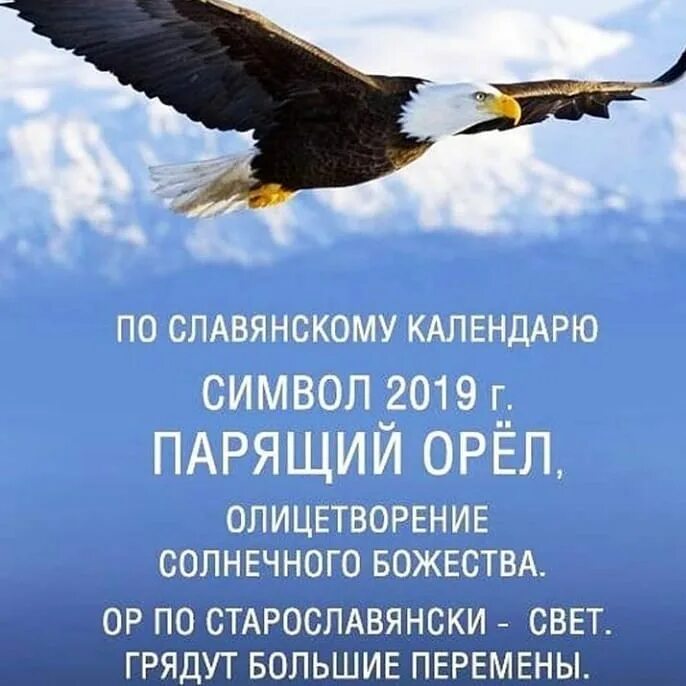 парящий орел по славянскому календарю