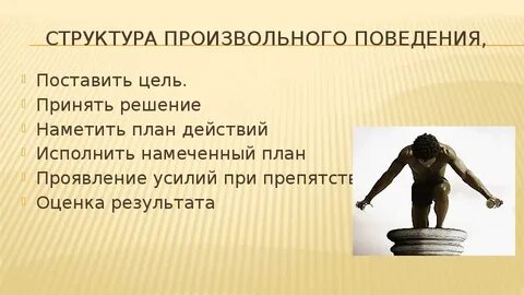 Состав на произвольную