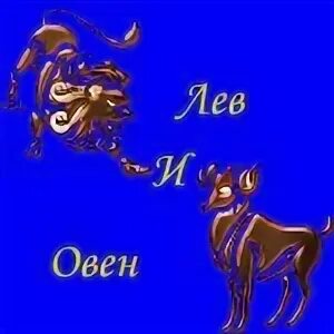 Мужчина лев и женщина овен