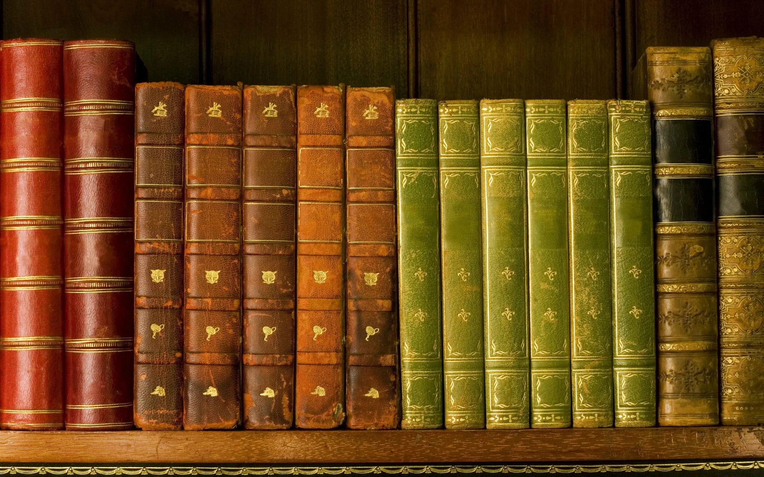 Как называется знаменитая книга. Полка для книг. книжная полка с книгами. изображение книги. книги на полке.