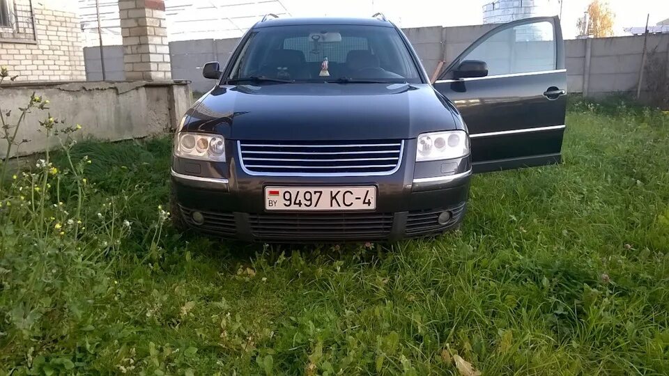 Решетка радиатора Passat b5. Решетка радиатора Volkswagen b5. Решетка радиатора Volkswagen Passat b5 Plus. Решетка радиатора Volkswagen Passat b 5 плюс. Купить пассат б5 дизель