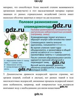 Биология 34