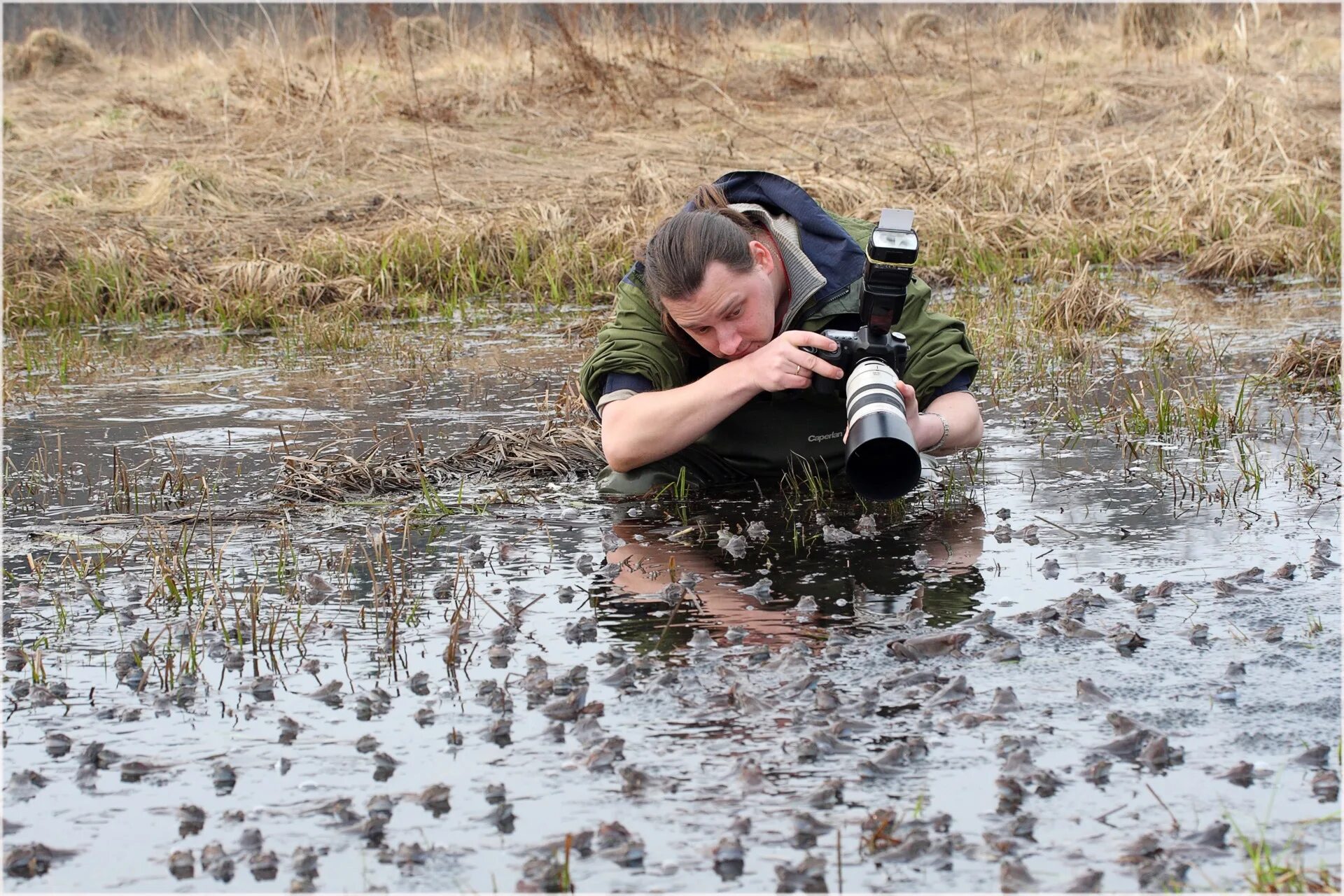 Каждый в своем болоте. Фотограф в засаде. Фотограф в болоте. Человек фотографирует природу. Фотограф фотографирует природу.
