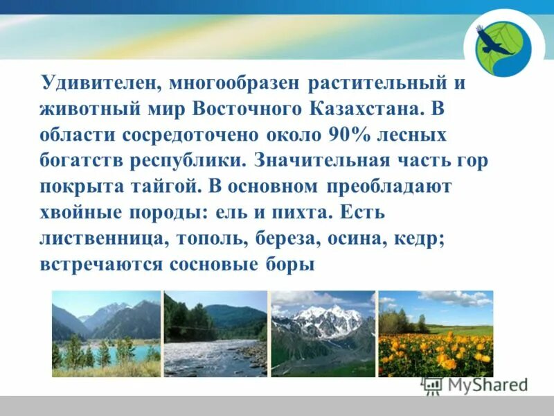 Казахстан доклад 3 класс окружающий мир. Презентация на тему Казахстан. Казахстан описание страны. Сообщение о Казахстане. Проект на тему Казахстан.