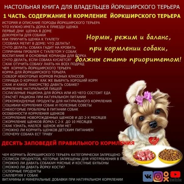 Меню щенка на день