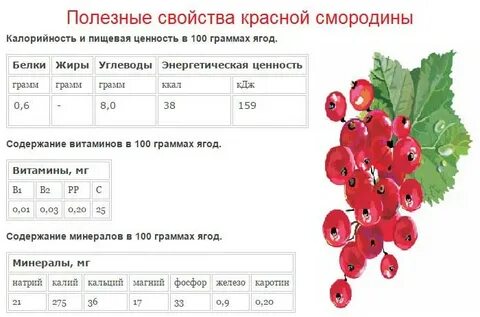 Красная смородина витамины