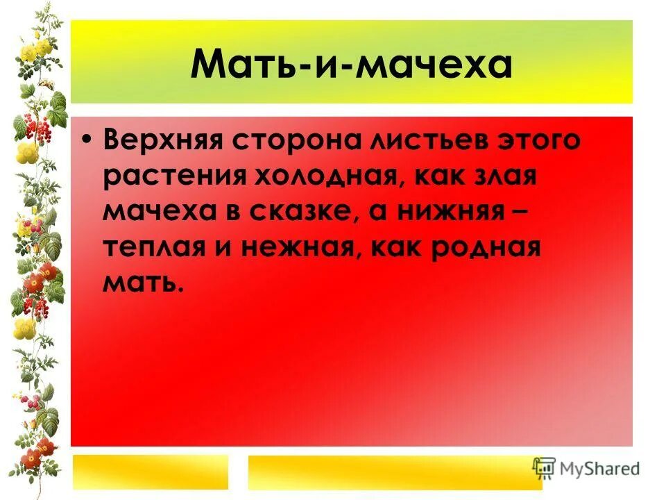 Чужая сторона мачеха