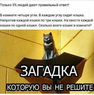 Сидят три кошки напротив каждой кошки