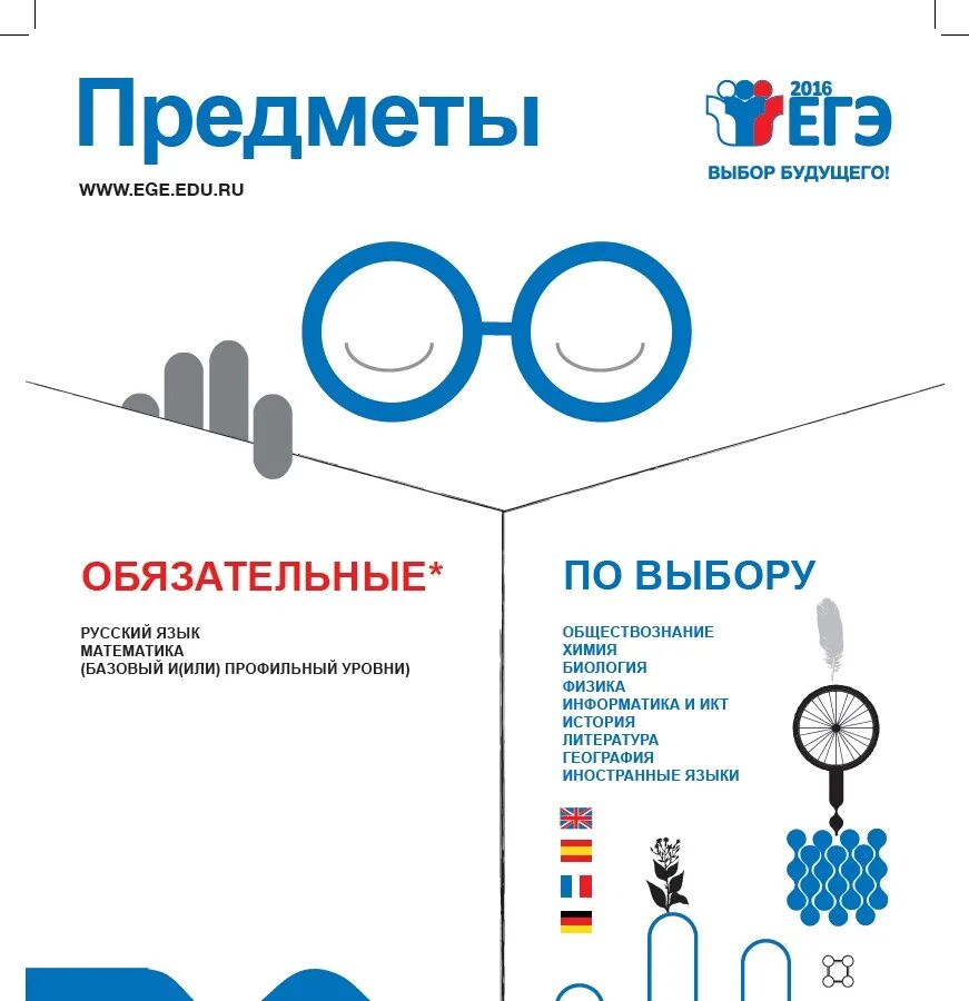 Предметы на выбор огэ. Какие предметы по выбору. Какие предметы выбрать на огэ. Какие предметы по выбору. Какие предметы по выбору.