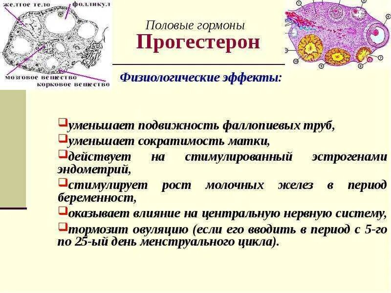 Выработка прогестерона. Прогестерон гормон. Прогестерон гормон у женщин. Физиологические функции прогестерона. Гормон желтого тела яичника.