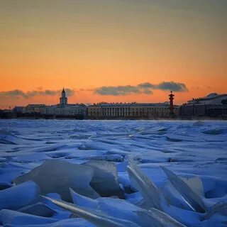 Холод спб