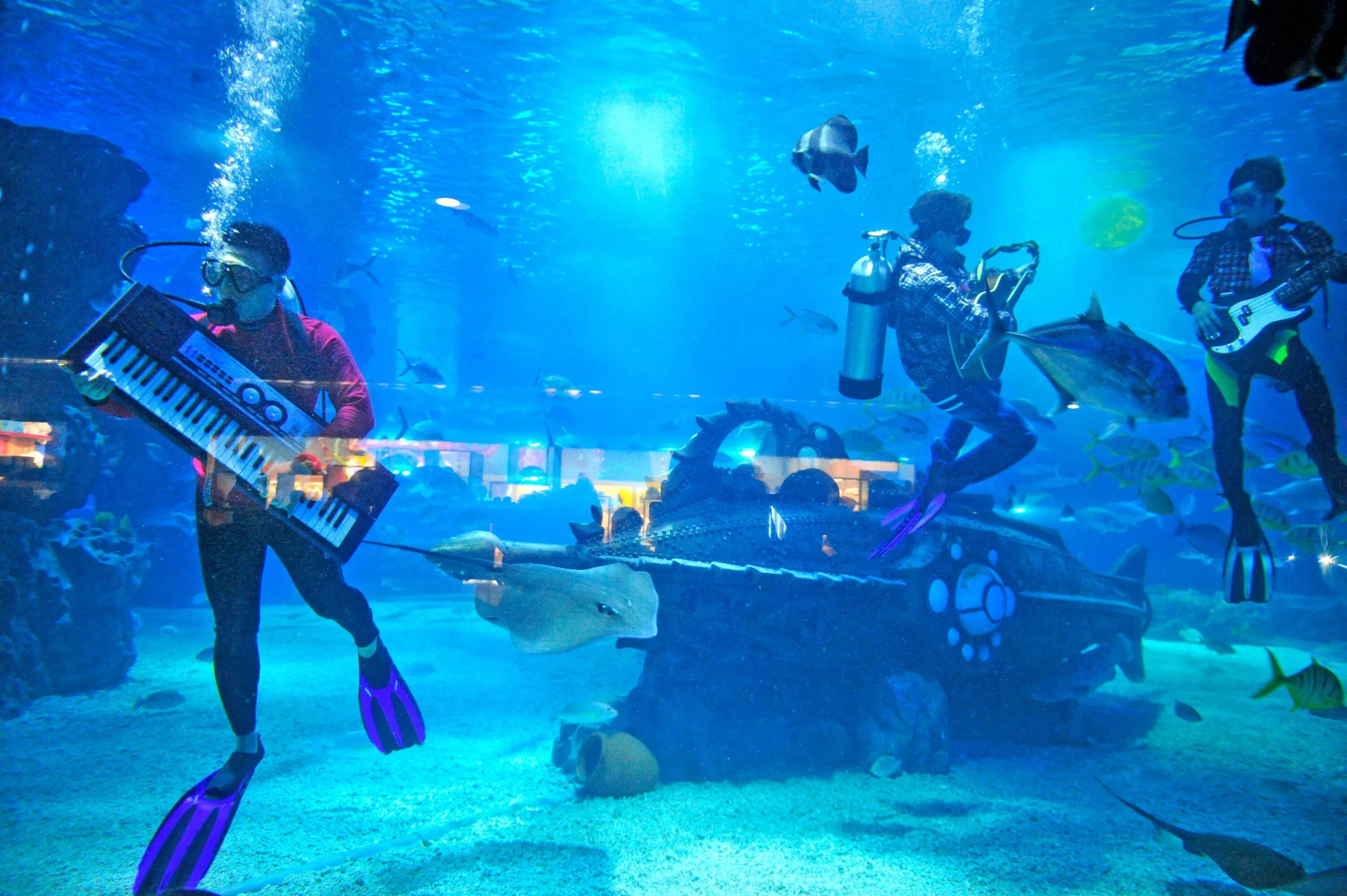 Стало водой песня. Подводный музыкальный фестиваль. Подводные музыканты. Подводный концерт. Концерт под водой.