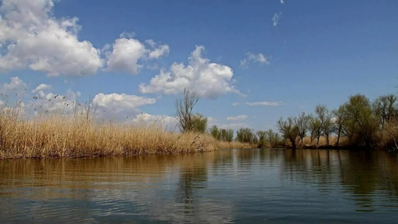 Природа плавней. Раскаты Волги Астрахань. Дельта (Астраханская область). Раскаты Дельта Волги. Астраханская область Дельта Волги.