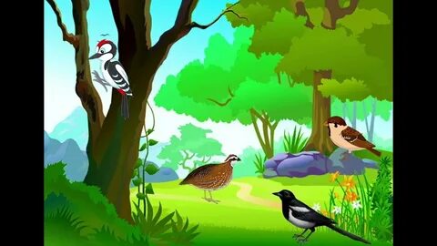 Жоғары сапалы трансвеститтік порно секс