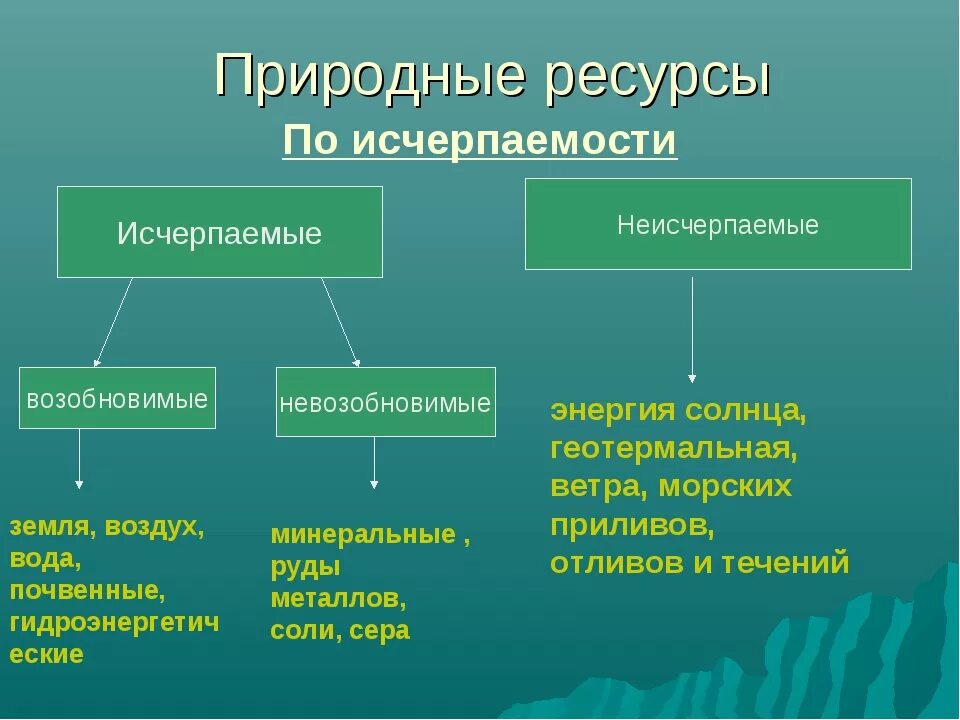 Перечислите виды исчерпаемых возобновимых ресурсов