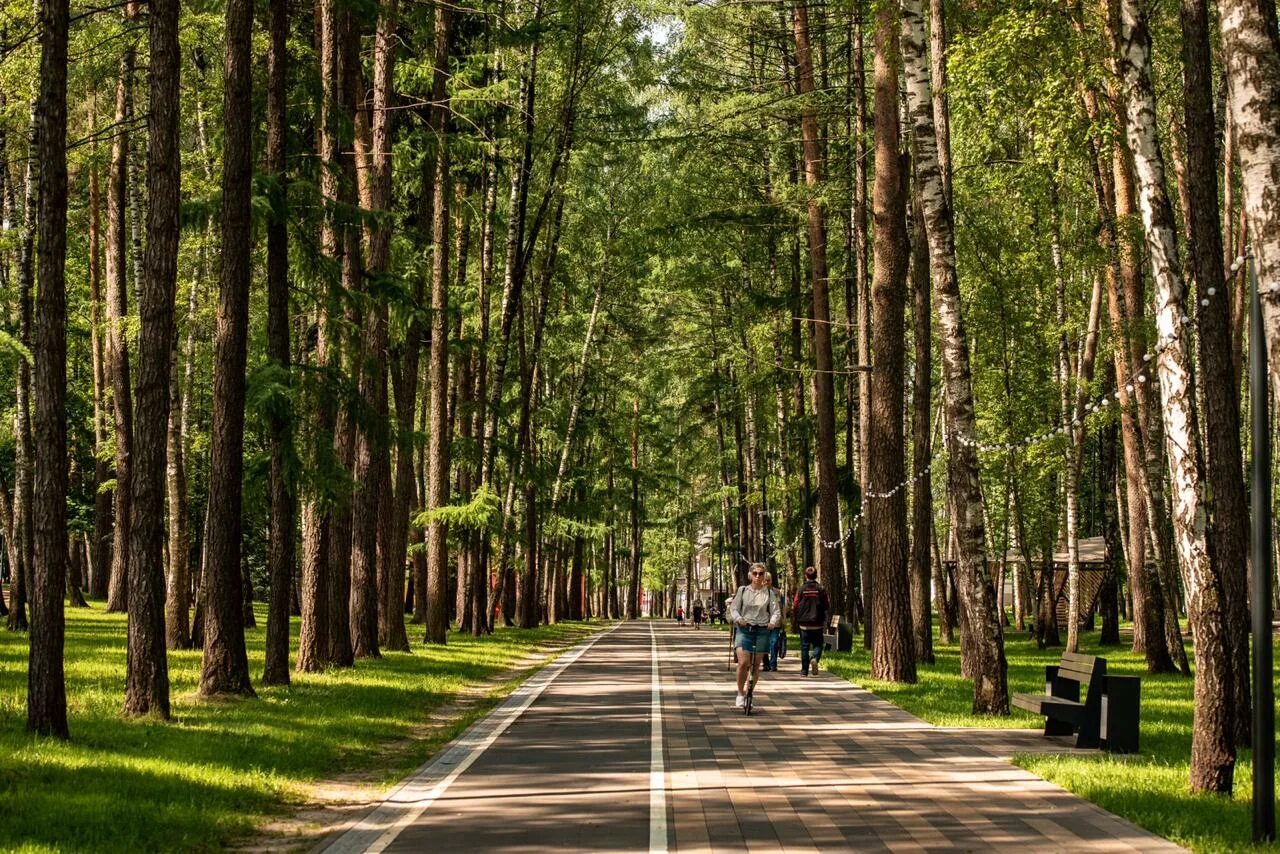 пироговский лесопарк мытищи. лесопарк лыткарино. люберцы томилинский лесопарк. лесопарки подмосковья. волкуша лыткарино лес.