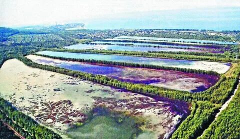 Рекультивация водоема