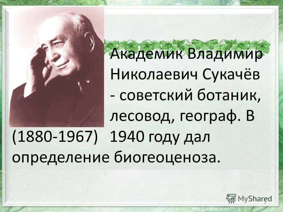 Н сукачев вклад в развитие экологии. Николаевич сукачев - советский ботаник лесовод, географ.. биогеоценоз сукачев владимир николаевич. сукачёв владимир николаевич ботаник. владимир николаевич сукачёв вклад в экологию.