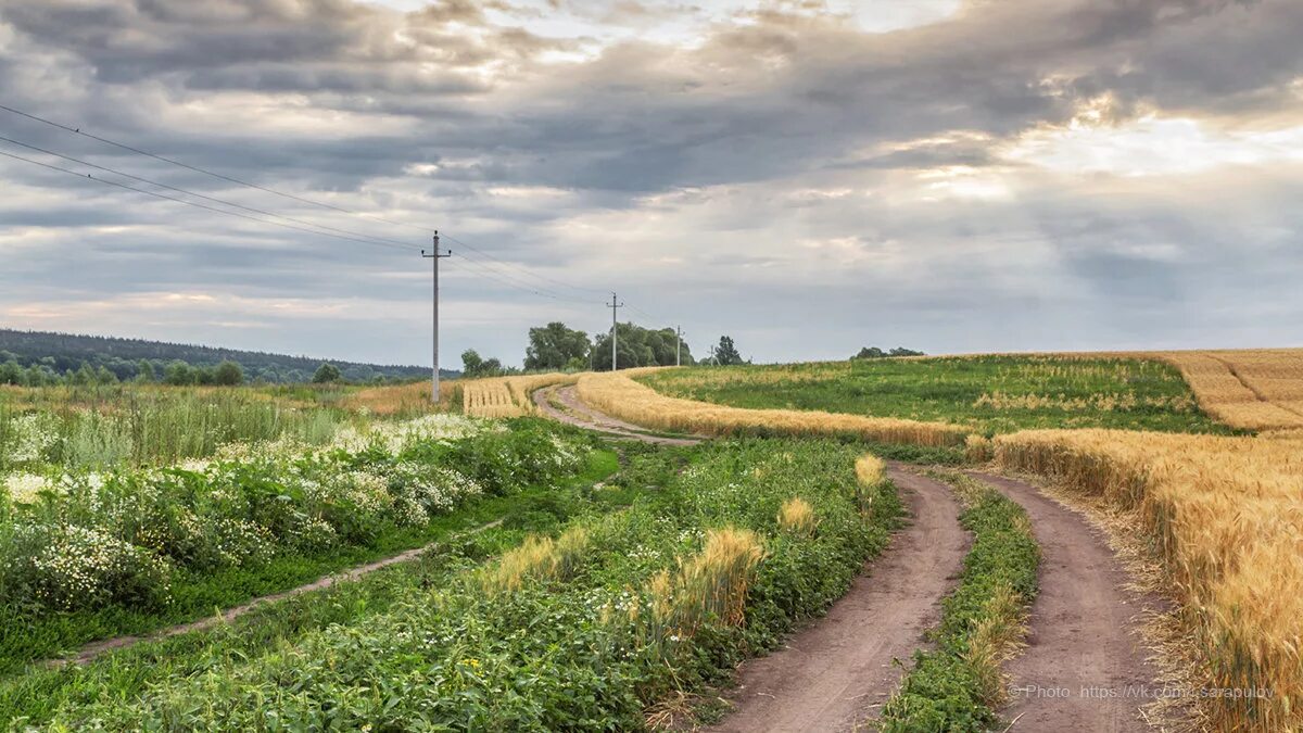 Деревня моя дорогая. Проселочная дорога Курск. Сельская Проселочная дорога. Бессонов Проселочная дорога. Проселочная дорога в поле.