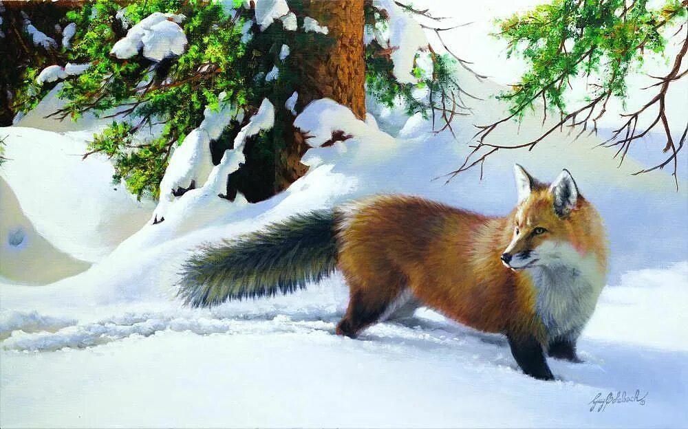 Лиса зимой. Зимний пейзаж с животными. «Лиса в лесу». Лиса зимой в лесу. Одноклассники лисов