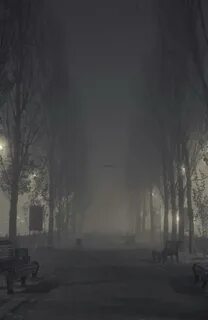 Темные улицы покрывал туман