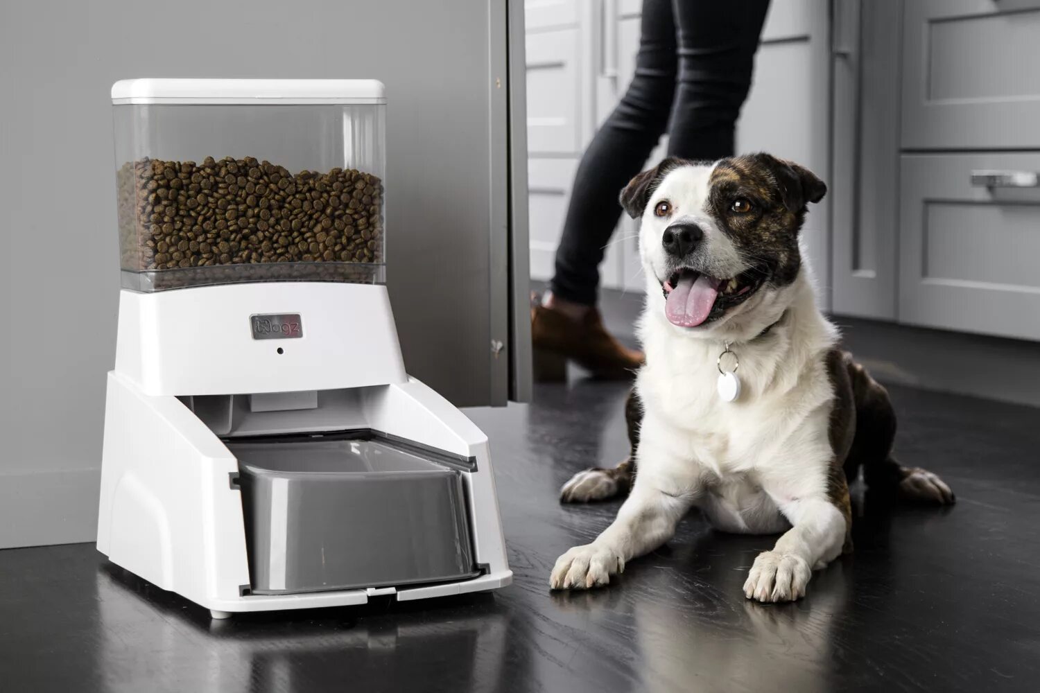 Feed. Smart Pet Feeder. Smart HD Pet Feeder pf03. Pet Feeder кормушка. Автокормушка для собак с таймером.