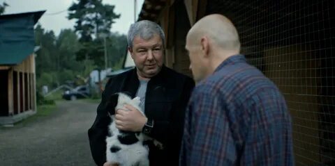 Лучшие роли робака