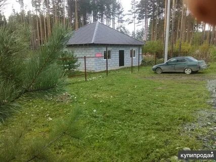 Авито сысерть
