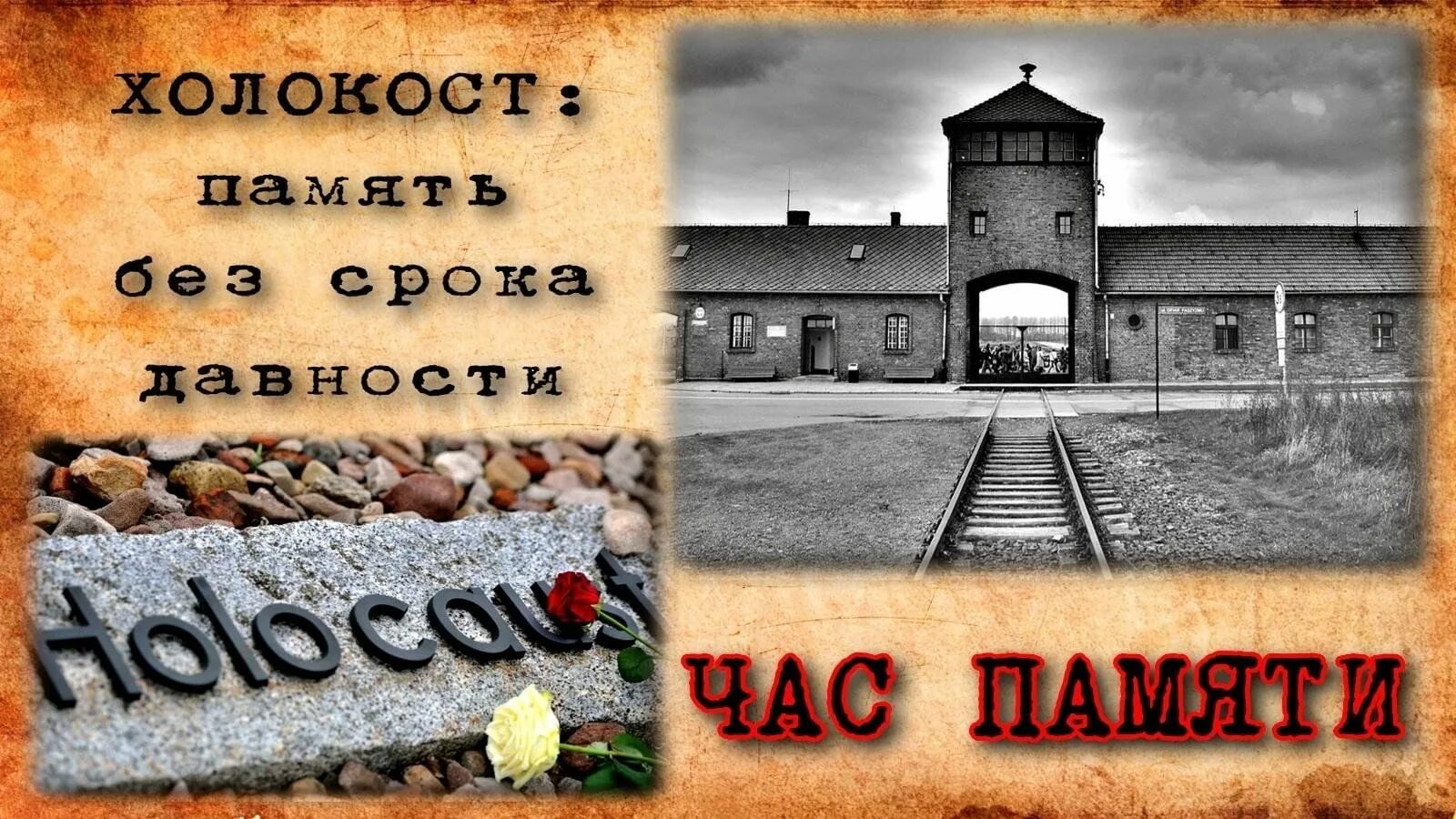 27 января 1945 освобождение концлагеря освенцим. Освенцим концлагерь узники. Освобождение узников освенцима 1945. 27 января международный день памяти жертв холокоста. Освобождение узников освенцима 1945.