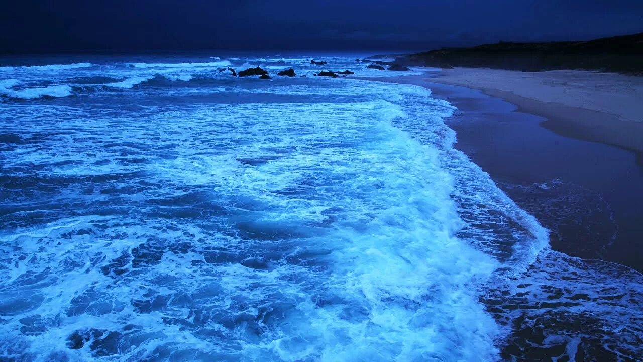 Шум моря океана. Шумный океан. Моря и океаны. Релаксация шум океана. Моря Тихого океана.
