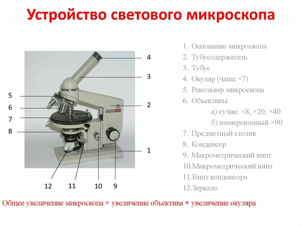 Строение микроскопа винты. Световой микроскоп строение конденсор. Окуляр микроскопа строение микроскопа. Строение светового микроскопа механическая оптическая.