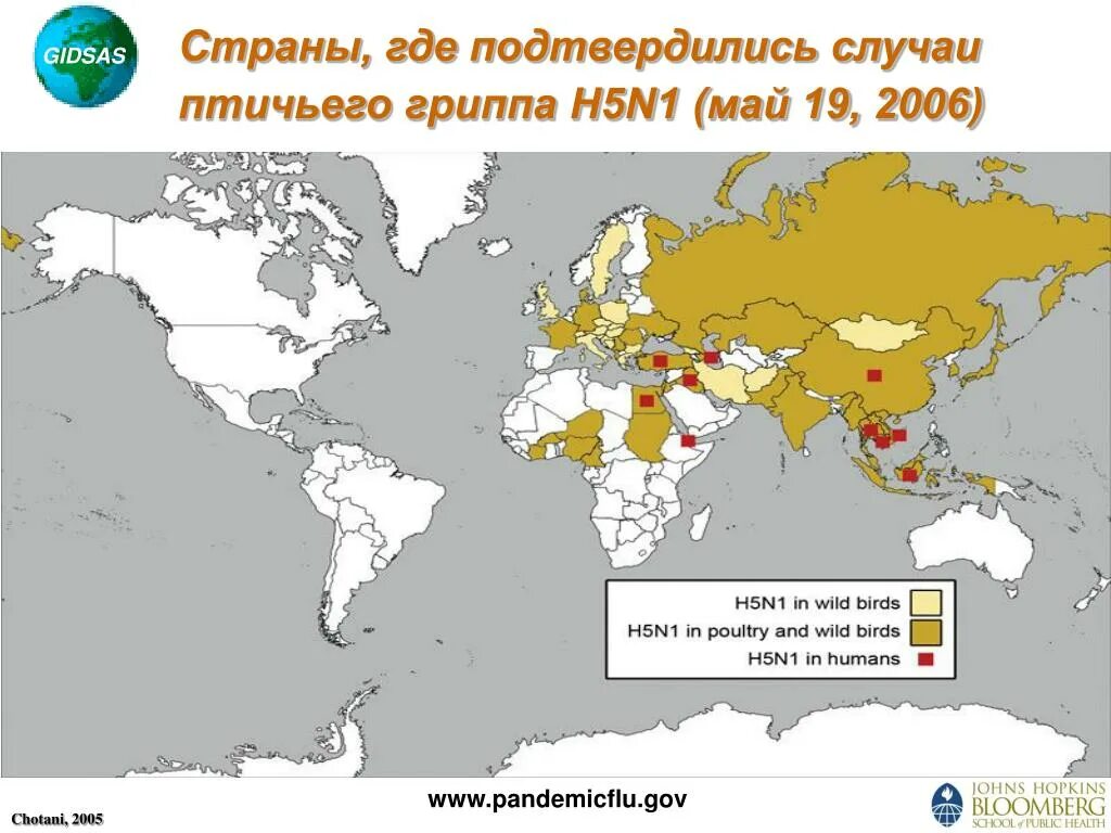 Птичий грипп распространение. Птичий грипп карта. Карта распространения гриппа. Птичий грипп статистика.