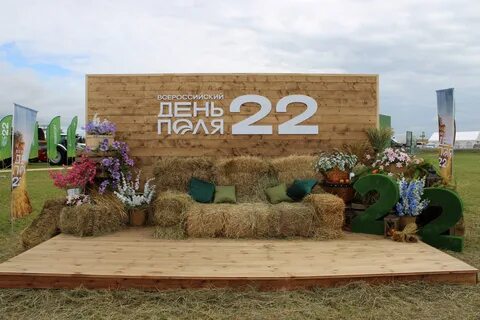 Поле 2022