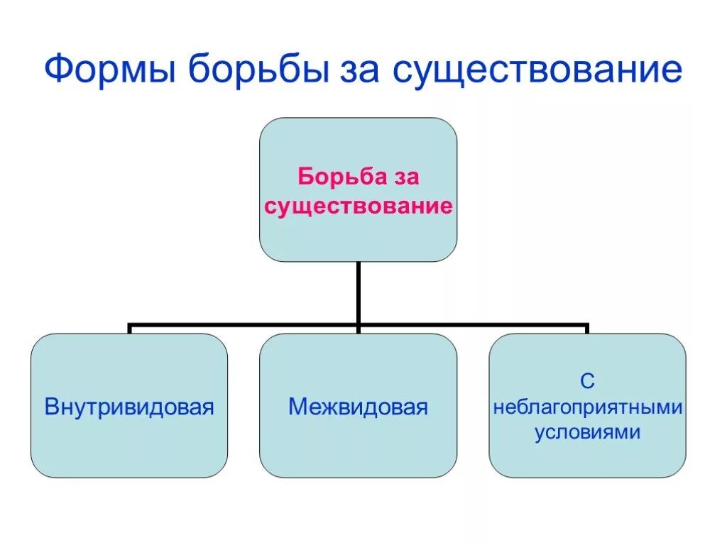 Формы борьбы за существование. Виды борьбы за существование таблица по Дарвину. Борьба за существование и ее формы схема. Формы борьбы биология. Виды борьбы за существование.