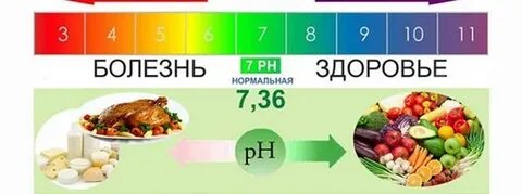 Уровень кислотности организма