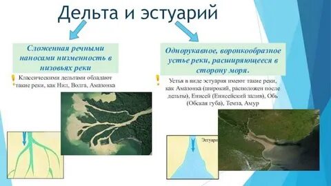 Устье реки в форме воронки