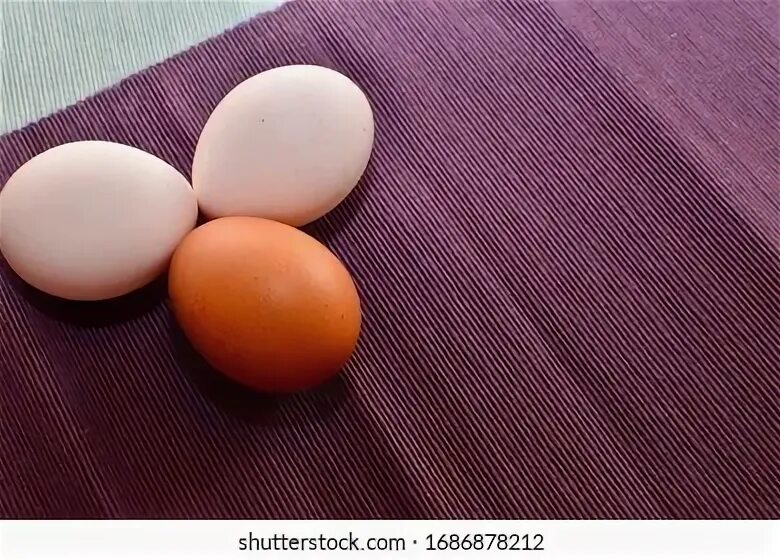 There some eggs on the table. There some eggs on the table