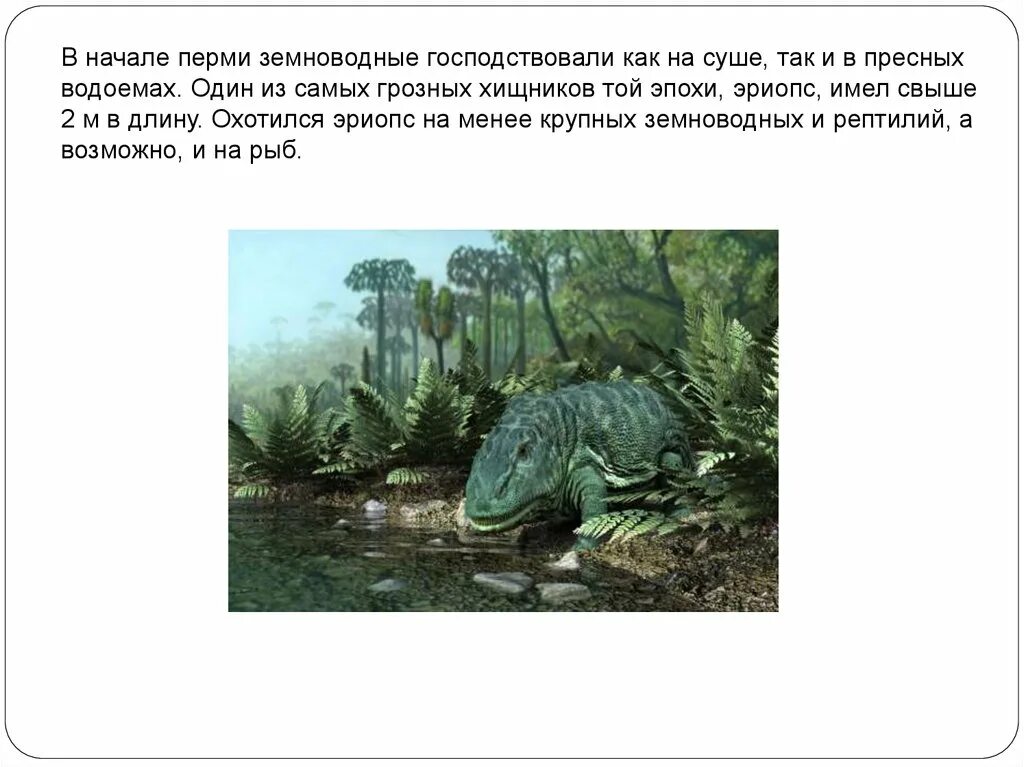 Какое отношение пермский период имеет городу пермь. Сообщение о животном пермского периода. пермь период кратко. период пермь животные и растения. вымершая амфибия пермской эпохи.