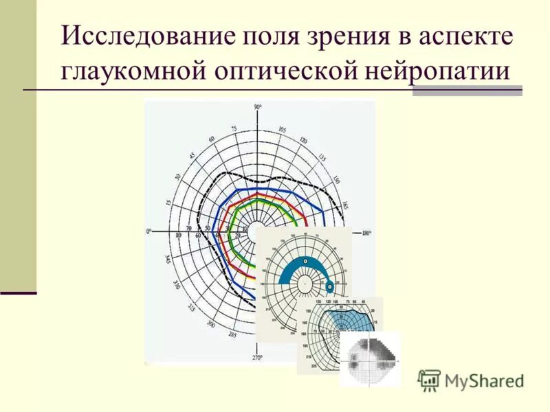 Центральное поле зрения