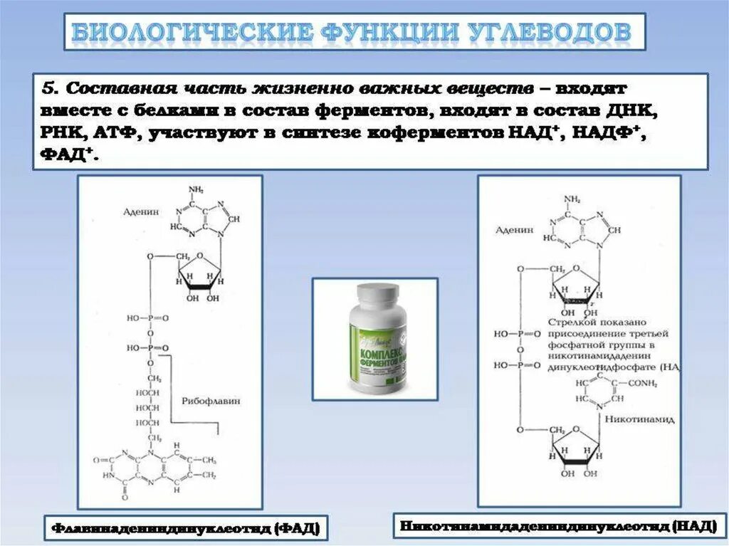 Углеводы урок 10 класс. Углеводы химия презентация. Составные части углеводов. Углеводы биология 10 класс. Углеводы презентация 10 класс биология.