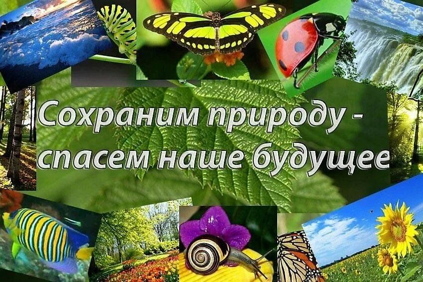 Экологический час "Сохраним природу, сохраним будущее" 2023, Менделеевский район