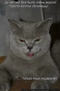 Да я обижен