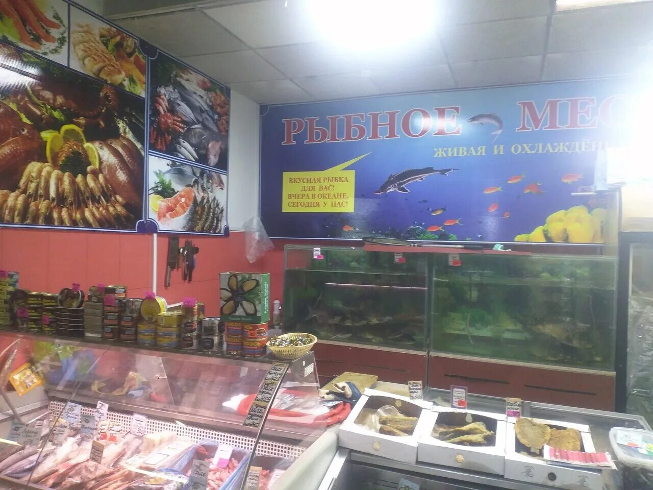 Океан магазин рыбы. Океан магазин рыбы и морепродуктов. Рыбный магазин океан. Магазин океан ассортимент рыб. Океан СССР рыбный магазин.
