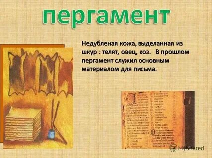 Недубленая кожа 8